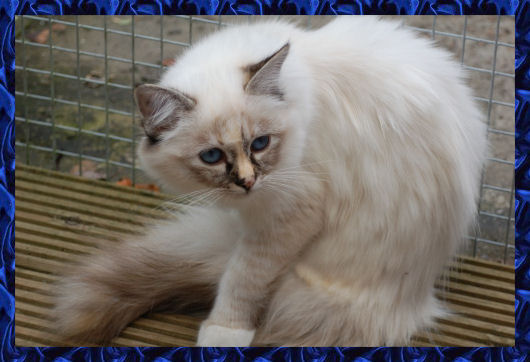 Amara met haar prachtige blauwe ogen 6 maanden oud